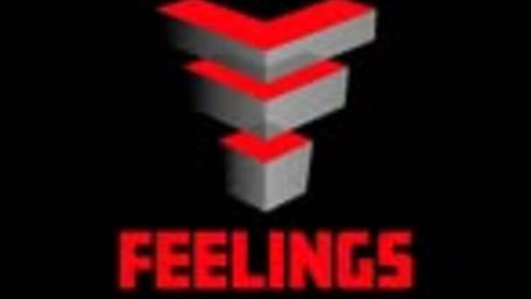 House concert NH Feelings