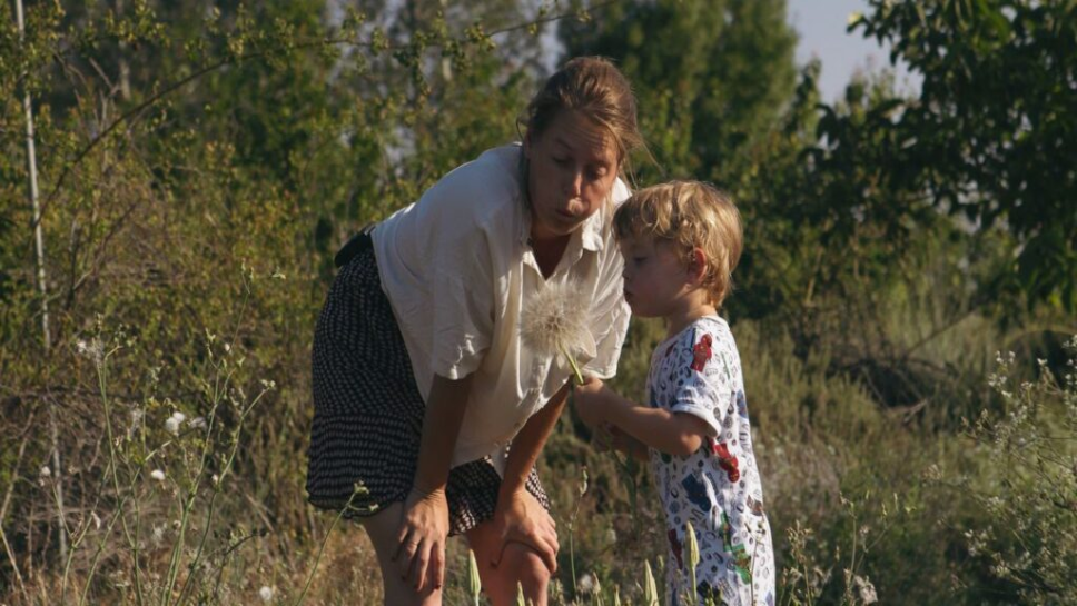 Eat More Trees – Klimaatweek